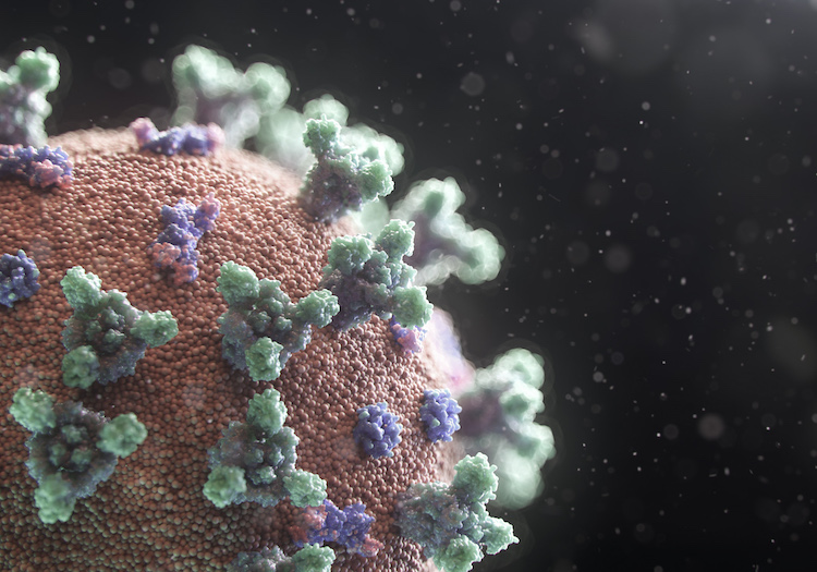 Render of a microscopic view of virus