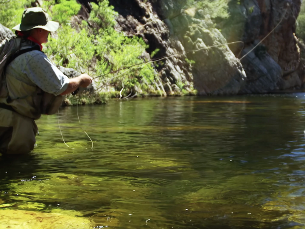 An angler fly fishes in a stream on a sunny day