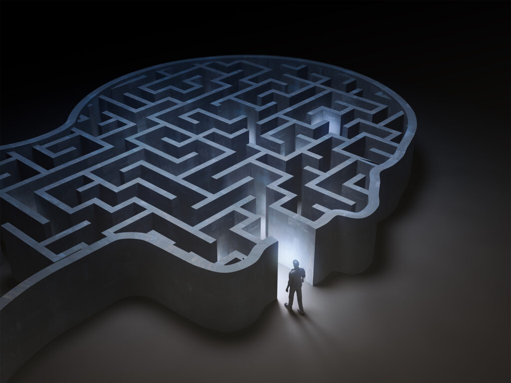a person stands before a human head shaped maze